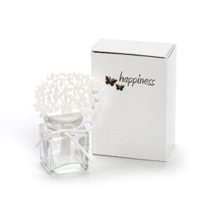 Δοχείο για Αρωματικό Χώρου Γυάλινο Τετράγωνο σε Κουτί με Δέντρο Ζωής