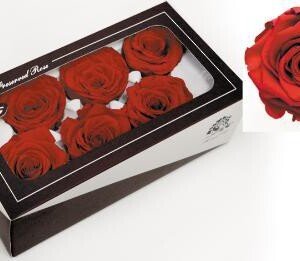 Βαλσαμωμένο Τριαντάφυλλο Κόκκινο σε Κουτί